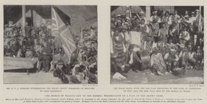 El Regalo del Príncipe de Gales a los Maoríes, Presentación de una Bandera a la Tribu Arawa de English Photographer