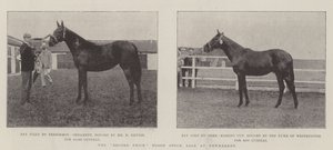 La venta de sangre de precio récord en Newmarket de English Photographer