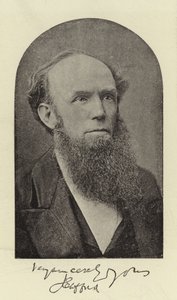 El Reverendo J Clifford, DD de English Photographer