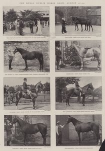 El Royal Dublin Horse Show, 26-29 de agosto de English Photographer