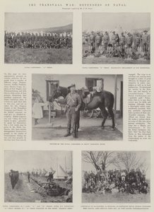 La Guerra del Transvaal, Defensores de Natal