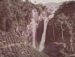 Las Cataratas Gemelas (Cultivo de café en primer plano), Ceilán de English Photographer