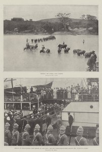 La Guerra en el Transvaal de English Photographer