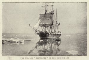 El ballenero Belvedere en el mar de Bering de English Photographer