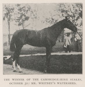 El ganador de las apuestas de Cambridgeshire, 30 de octubre, Watershed de Mr. Whitney de English Photographer