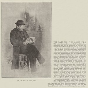 El difunto Sr. P H Gosse, FRS de English Photographer