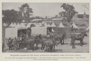 Carros de transporte del Cuerpo de Bushmen de Australia del Sur para Sudáfrica de English Photographer