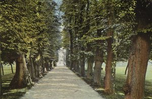 Trinity College, la Avenida de English Photographer