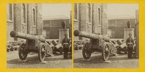 Trofeo de armas de English Photographer
