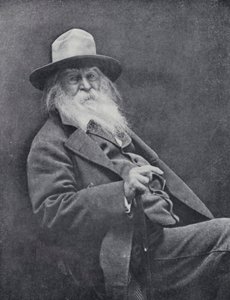 Walt Whitman de English Photographer