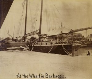 Muelle, Bridgetown, Barbados de English Photographer