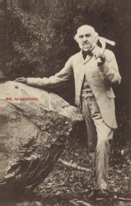 William Ewart Gladstone de English Photographer