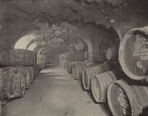 Bóvedas de vino (foto b/n)