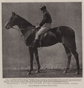 Winkfields Pride, el ganador de las apuestas de Cambridgeshire de English Photographer