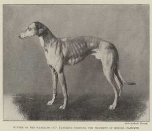Ganador de la Copa Waterloo, Fortuna Fabulosa, Propiedad de los Sres. Fawcett de English Photographer