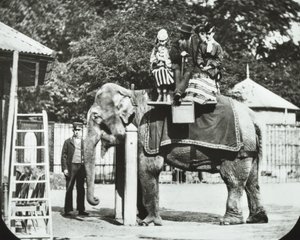 Jardines Zoológicos, Regents Park: elefante con adultos y niños paseando, Zoológico de Londres, 1894 de English Photographer