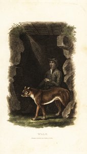Caballero inglés del siglo XVIII y su lobo domesticado, Canis lupus, en la entrada de una cueva de English School