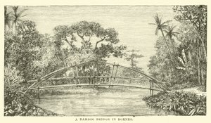 Puente de bambú en Borneo de English School