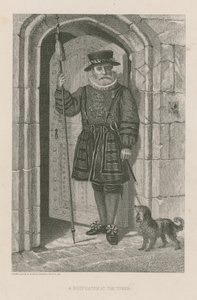 Un Beefeater en la Torre