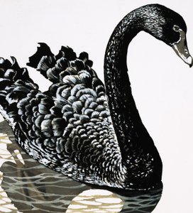 Un cisne negro de English School