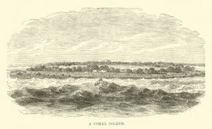 Una isla de coral de English School