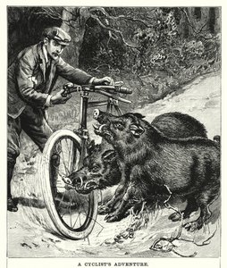 La aventura de un ciclista (grabado)