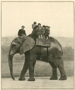 Un paseo de despedida en Jumbo de English School
