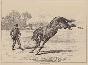 Un joven díscolo (grabado) de English School