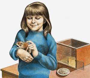 Una Niña y su Hámster