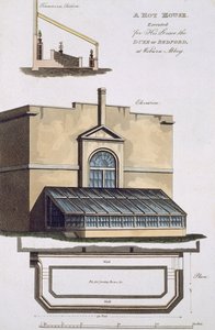 Un Invernadero ejecutado para su Gracia el Duque de Bedford en Woburn Abbey, 1806 de English School