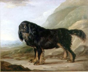 Un Spaniel King Charles en un Paisaje de English School