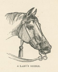 La brida de una dama (grabado) de English School
