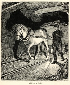 Un pony de mina trabajando (grabado) de English School