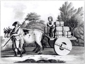 Una granja portuguesa, de Una Vista General del Estado de Portugal por James Murphy, publicado en 1797 de English School