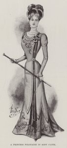 Una princesa polaca en tela suave de English School