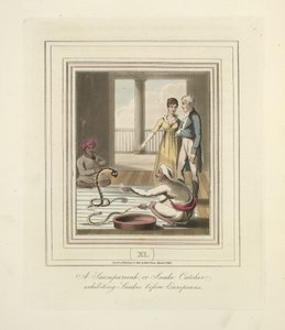Un saumpareeah o cazador de serpientes que exhibe serpientes ante los europeos, c.1824 (litografia en color) de English School