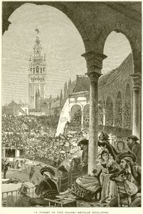 Un boleto en la sombra.--Plaza de toros de Sevilla