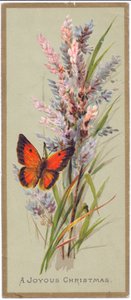 Tarjeta de Navidad victoriana de una mariposa entre hierbas altas