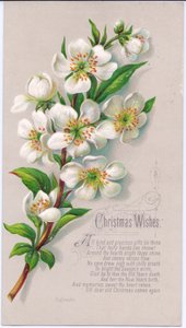 Tarjeta de Navidad victoriana con un ramo de rosas de Navidad y un verso, c.1880