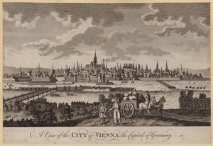 Vista de la ciudad de Viena, la capital de Alemania de English School