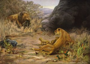 A Welcome Return - león que regresa con comida para sus cachorros (litografía en color)