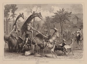 A "Zoological Airing" (grabado) de English School