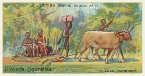 Un carruaje zulú