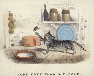 Un gato jugando con un ratón que ha atrapado de English School