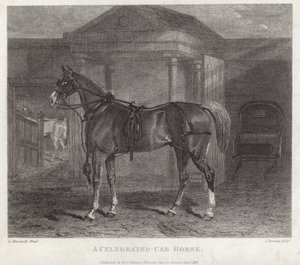 Un caballo de cabina célebre de English School