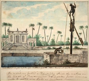 Un jardín colonial que muestra riego, c.1787 (acuarela sobre papel) de English School