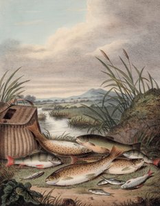 Un buen día de pesca de English School