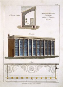 Un invernadero para John Elliott en Pimlico, Londres, 1806 de English School