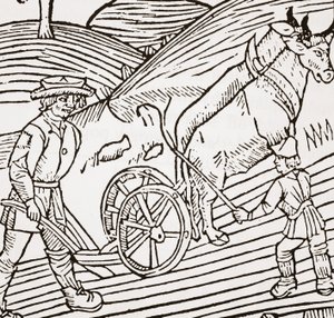 Un par de bueyes enganchados a un arado, portada del libro de agricultura de John Fitzherbert, primera publicación en 1523 de English School