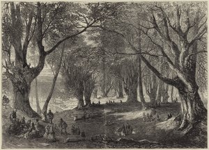 Una vista en el Bosque de Epping de English School